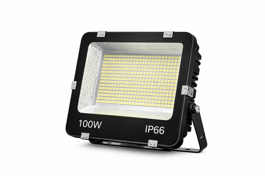 LED reflektor 100W 6500K IP66 sa metalnim kućištem (R-1)